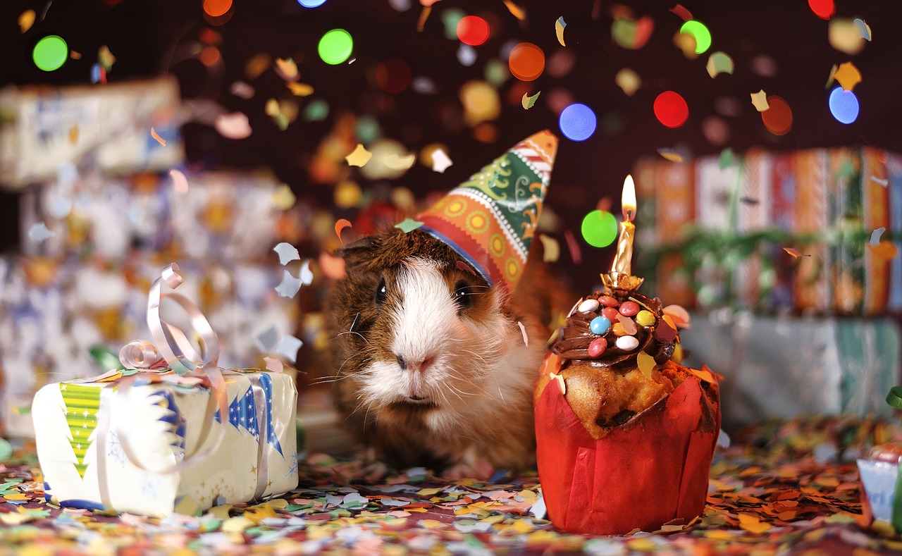 birthday
